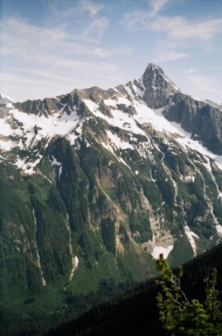 Photograph